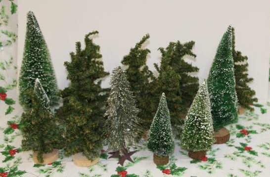 Miniature Pine Trees