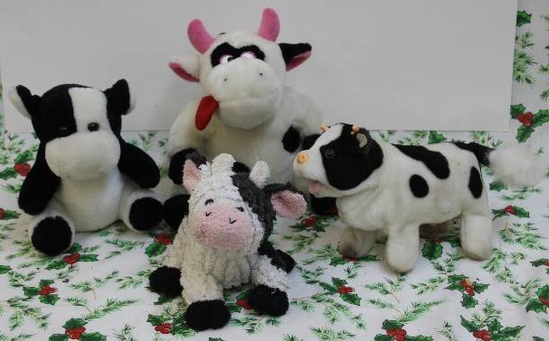 Cows