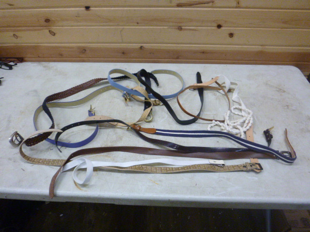 Miscellaneous Ladies Belts