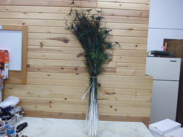 Peacock Feathers