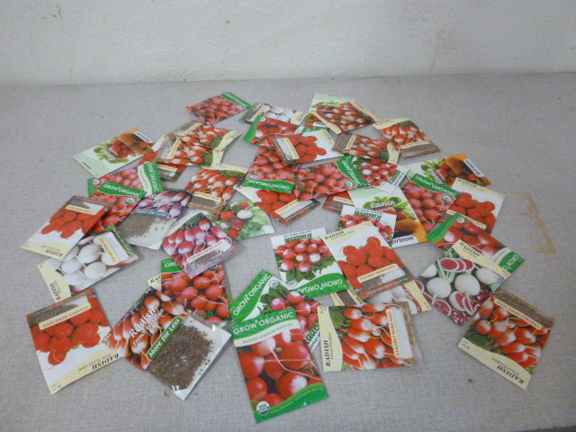 Large Lot of Radish Seeds