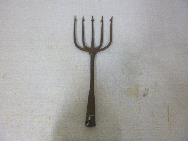 5 Tine Spear Head