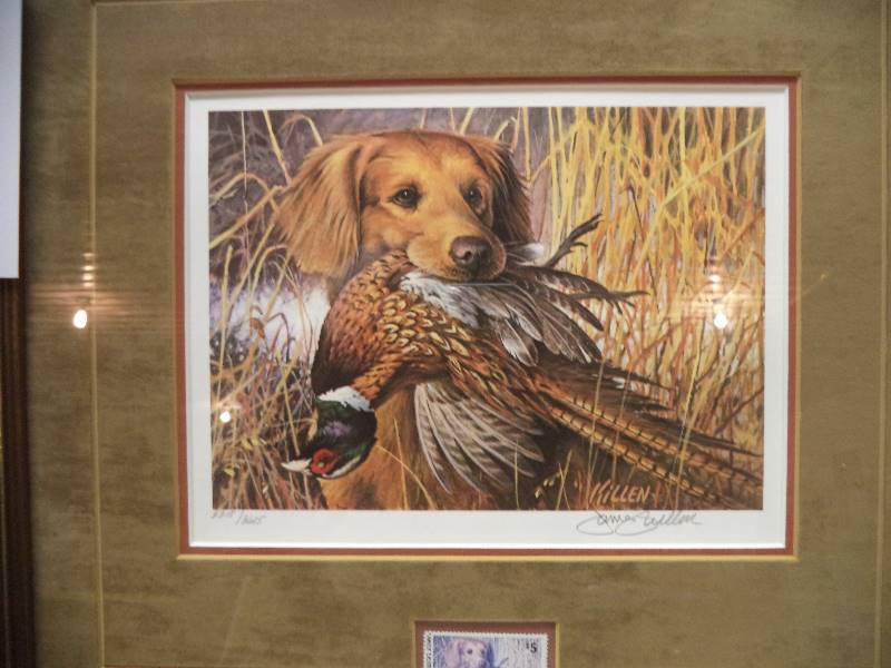 lot 34 image: 1985 MN Pheasant Print & Stamp