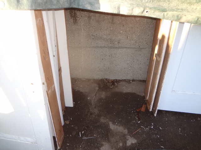 lot 97 image: 12 Paneled Doors