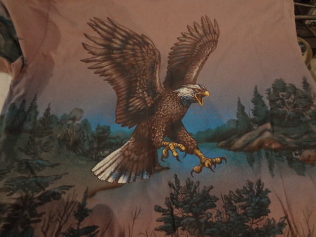 lot 324 image: Eagle Ts (10)