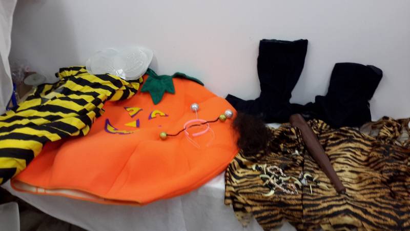 Multiple costumes