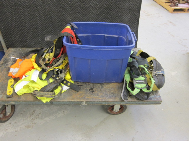 Safety Harnesses
