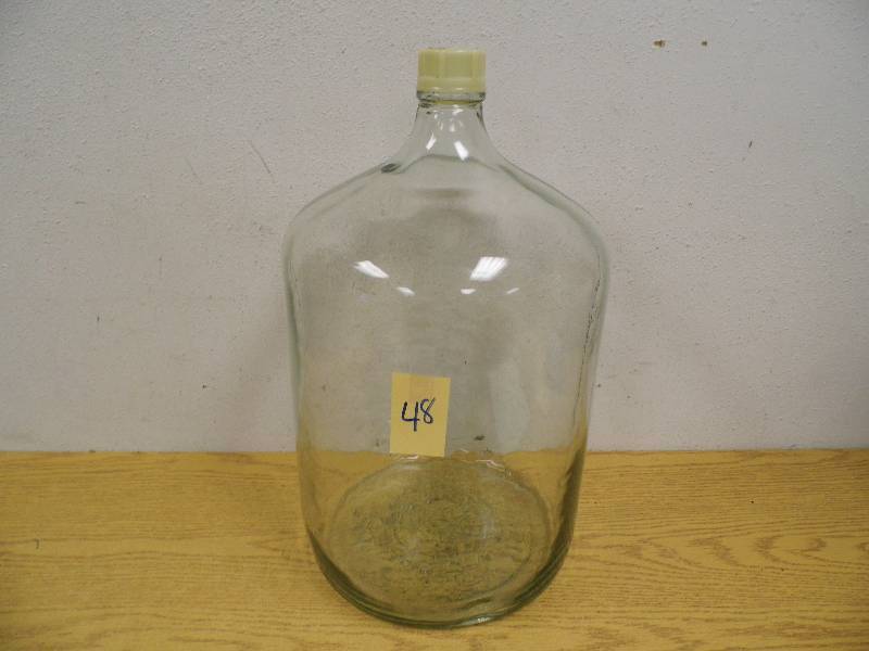 Glass Water Bottle