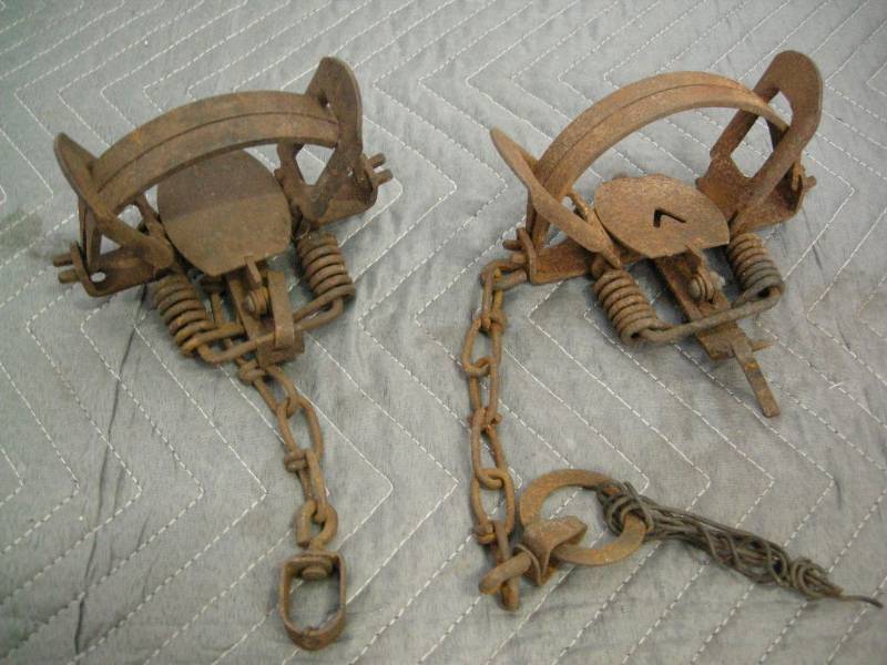 2 Victor coilspring traps