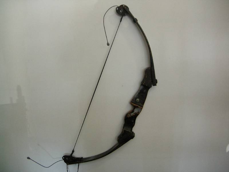 Compound type Bow