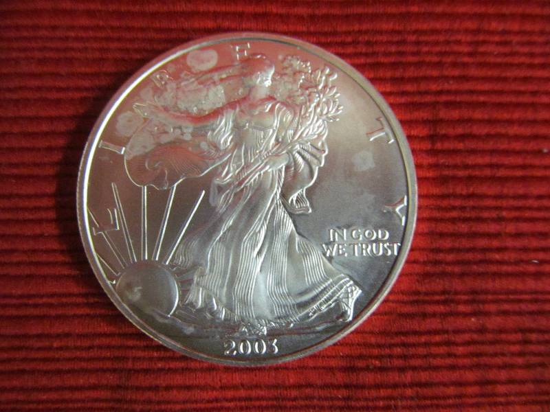 Silver Dollar