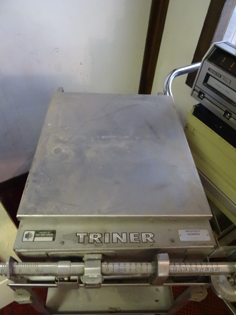 lot 231 image: Triner Scale
