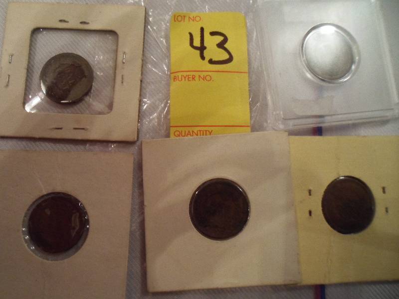 Lot of 5 Indian Head Pennies