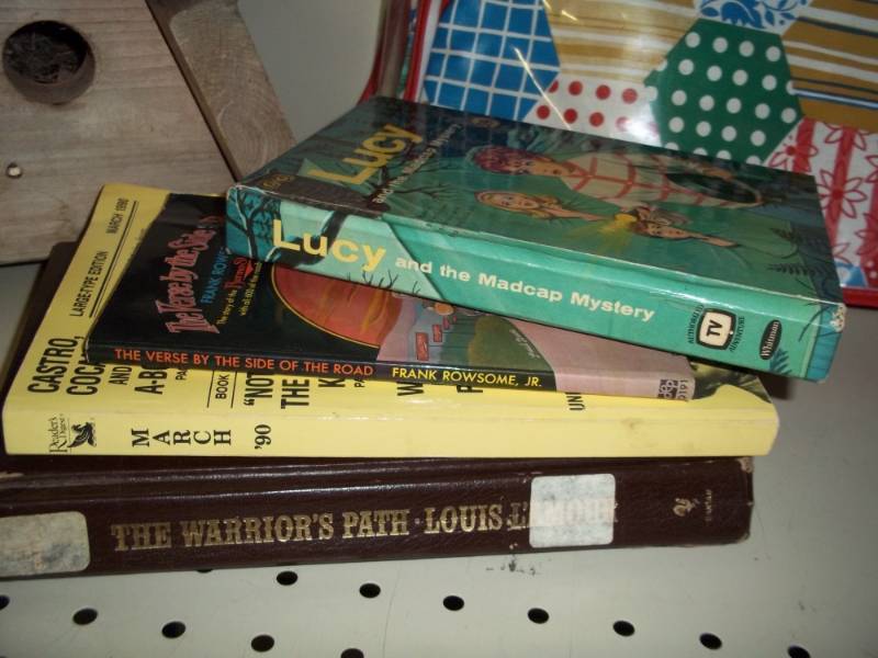 Shelf lot with vintage books, bird house, and planter