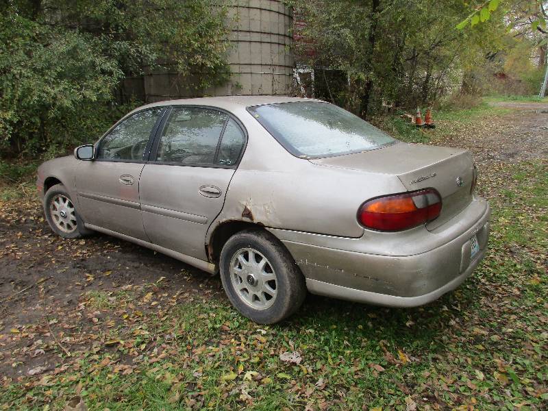lot 7 image: Malibu