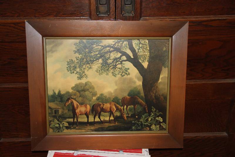 Horse picture