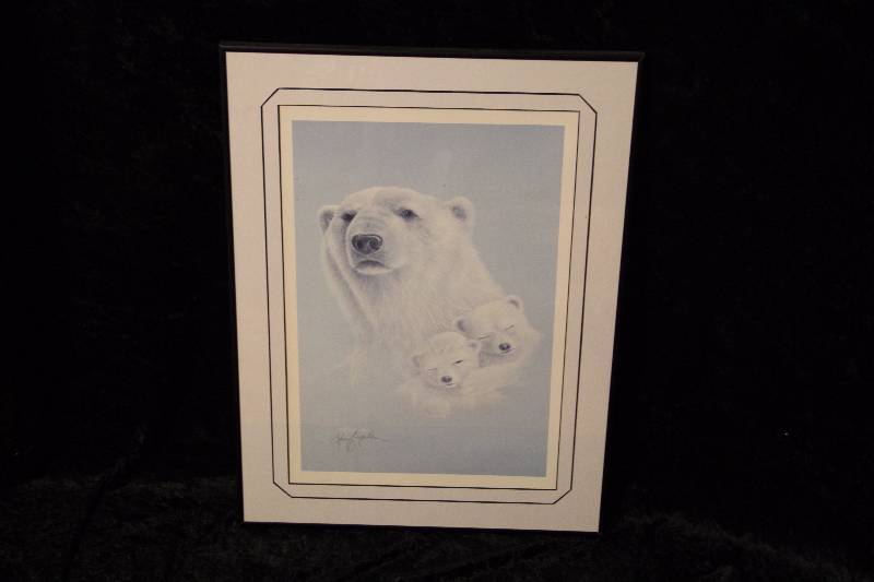 Polar bear  picture