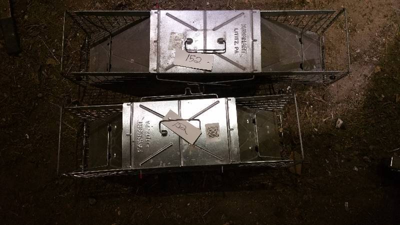 lot 152 image: Pair, Havahart Traps