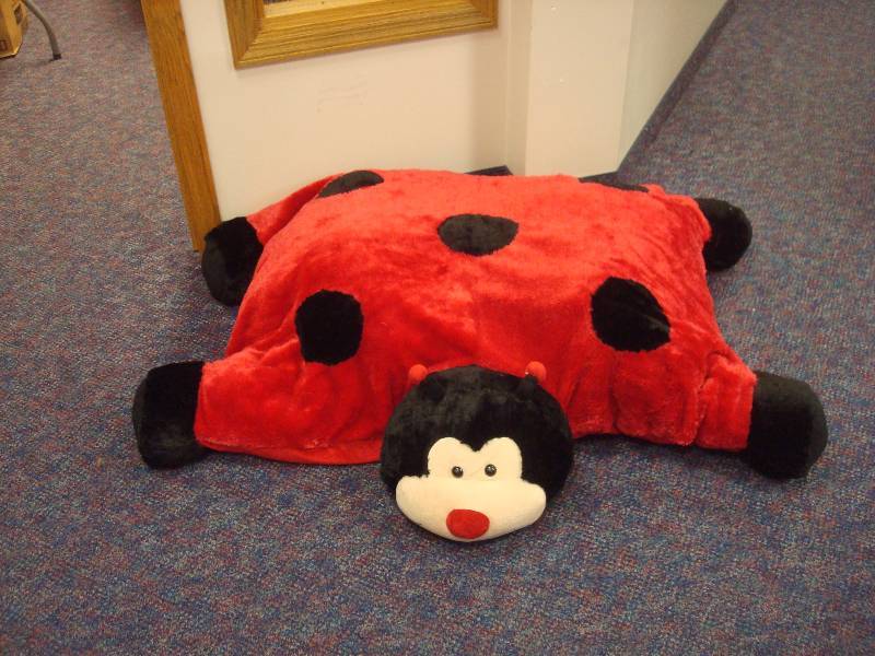 Large Pillow Chum, Used, Some Wear