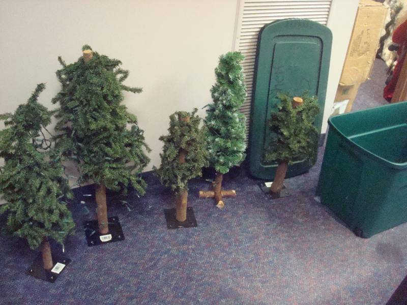 Bin With Some Mini Christmas Trees, Show Wear