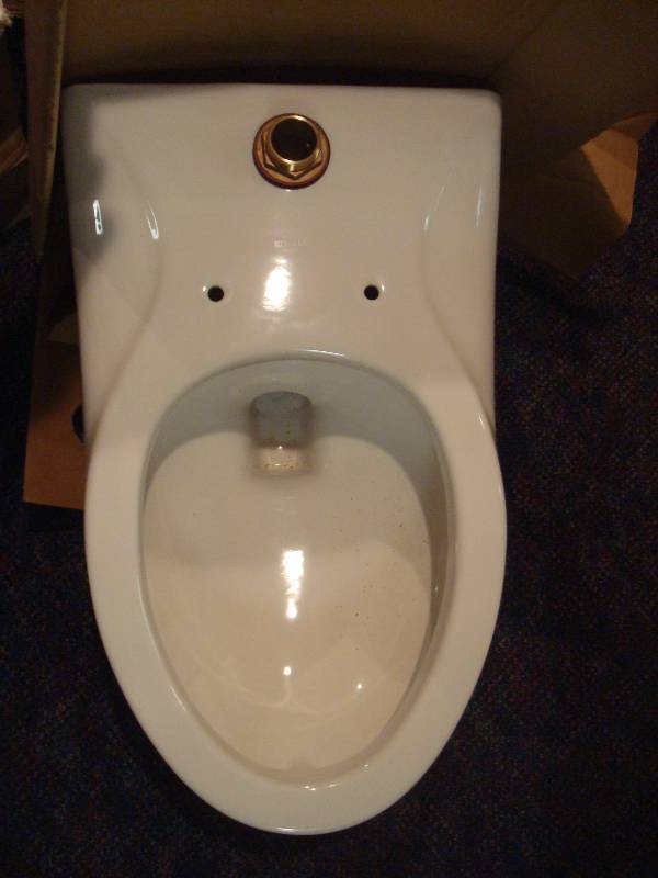 Kohler Wall Toliet