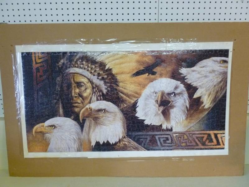 Native American Picture