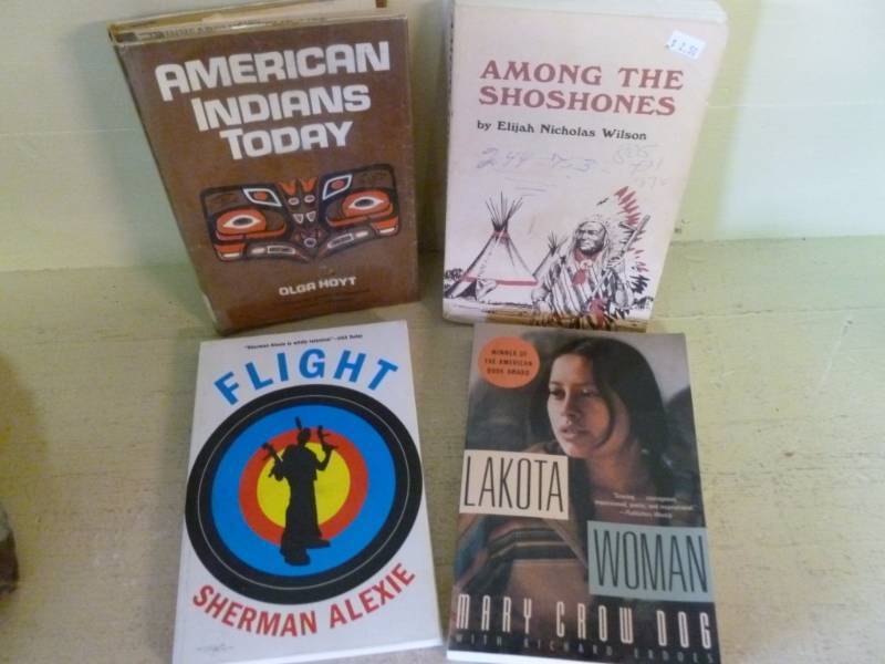 Native American Themed Books