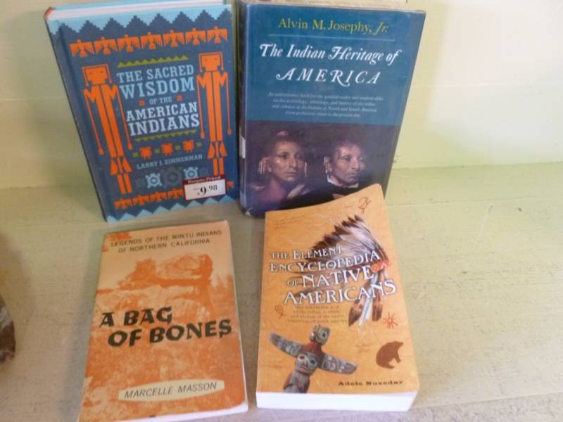 Native American Themed Books