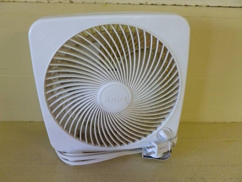 Fan