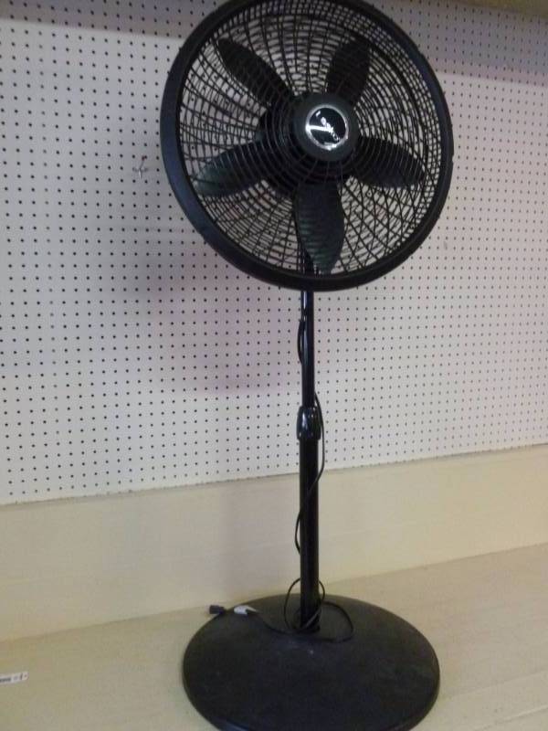 Fan
