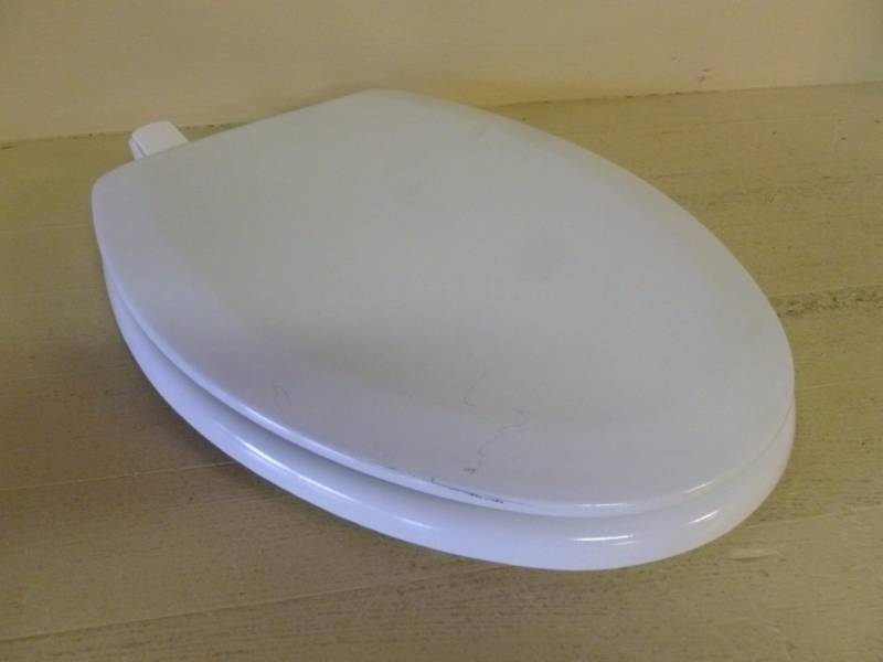 New Toilet Seat