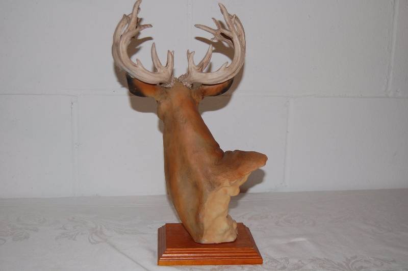 lot 5 image: Deer Bust