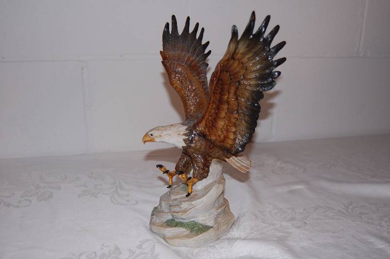 lot 9 image: Bald Eagle