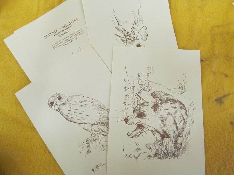Britains wildlife prints