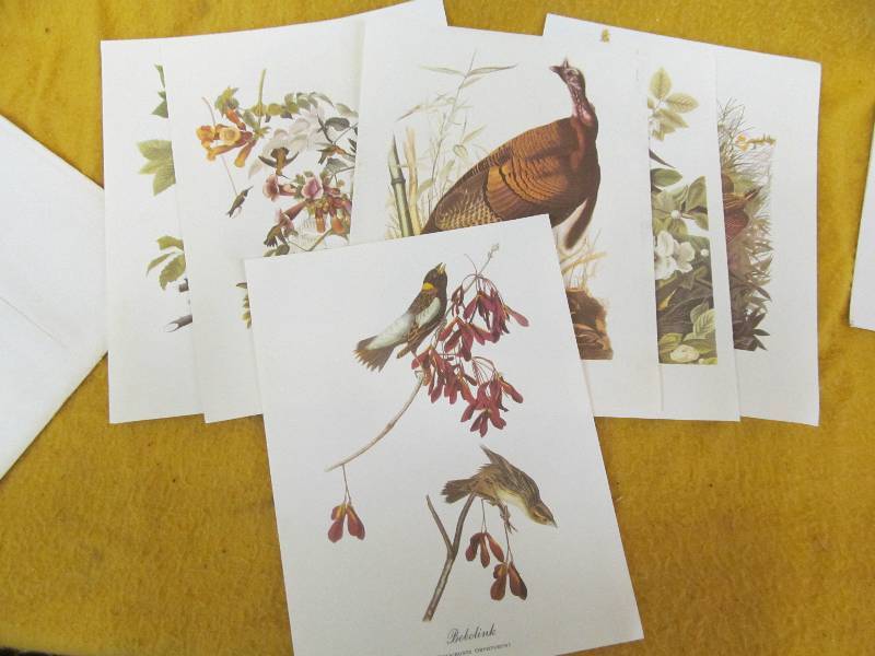 Audubon paintings
