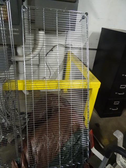 1 Metro Wire Shelf 24 X 60