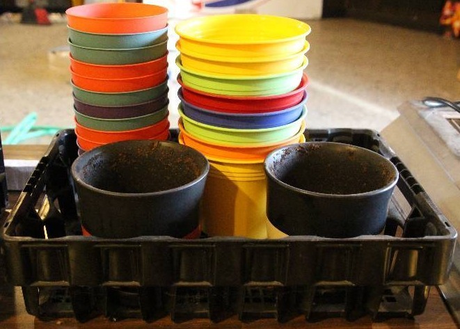 Assortment of PlantersFlower Pots
