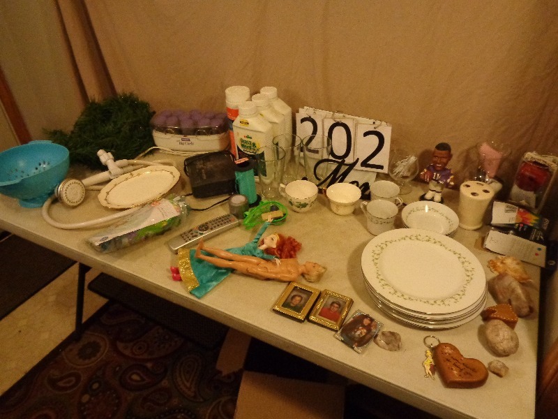 Weed Killer, Dishes, Shower Head, Curlers, and More.