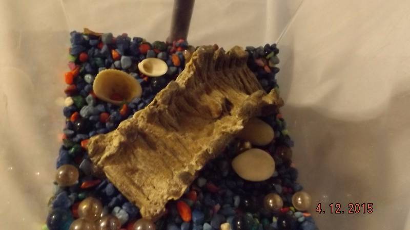 Small Aquarium With Some Accessories