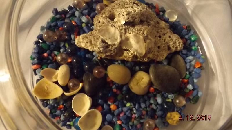 Round Fish Bowl With Some Accessories