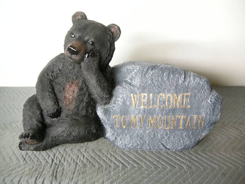 Black Bear Welcome to My Mountain