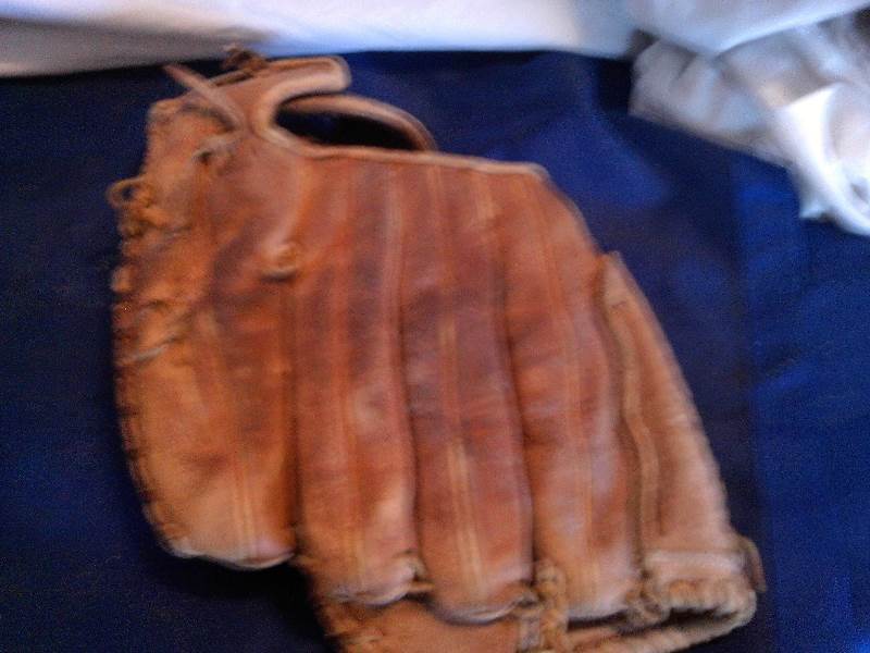 prohide baseball glove