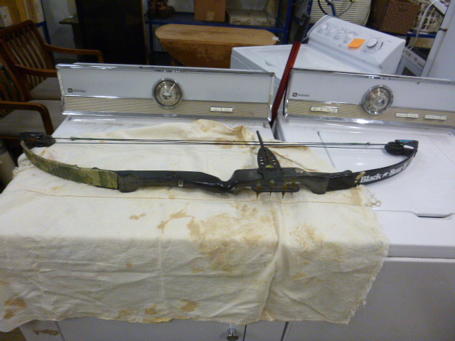 lot 5 image: Black Bear 2 Compound Bow