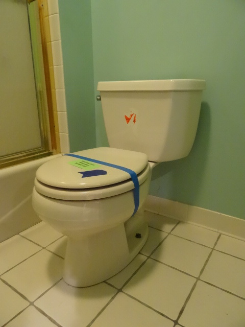 Toilet