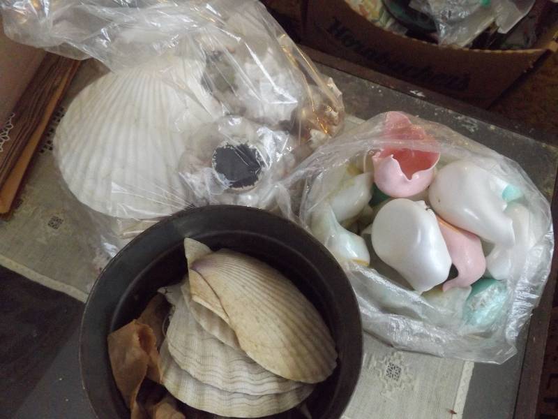 Shells