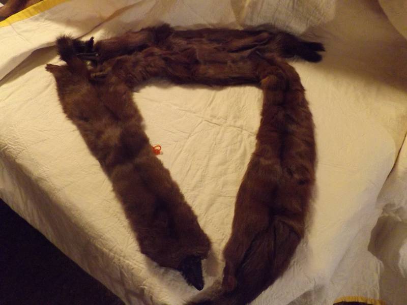 Vintage fur stole - Mink