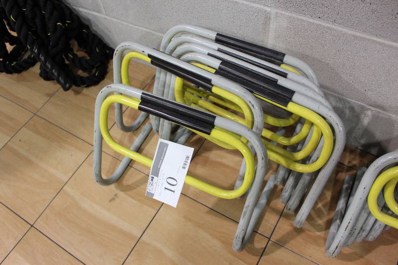 lot 10B image: Lot of (5) Running Hurdles