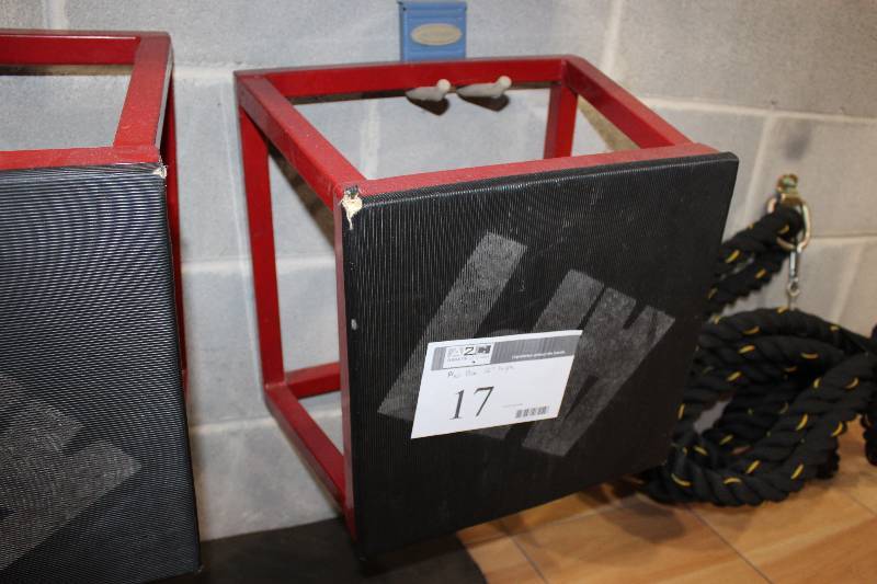 lot 17 image: Power Systems Plyometrics Box