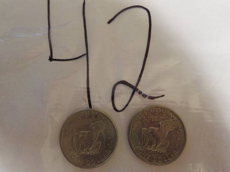 Lot of (2) Susan B. Dollar Coins