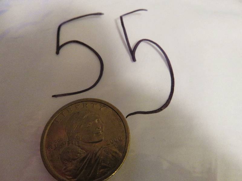 Sacagawea Dollar Coin